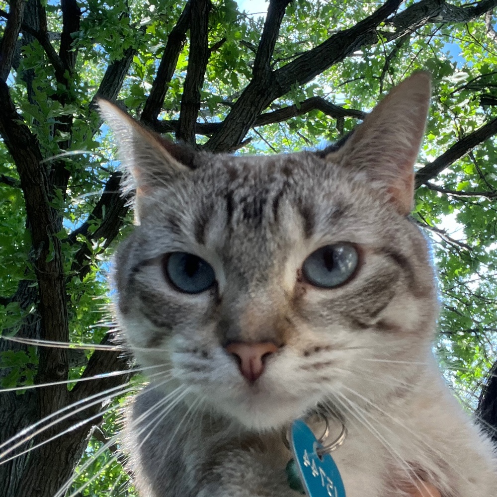 Meet your Posher, Banan